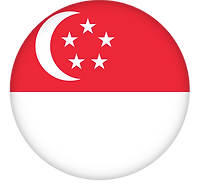 flag singapore round icon badge or button vector 36298529